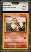 PCA 9.5 Caninos thumbnail 1