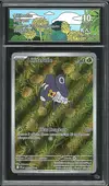 CA 10 Lilliterelle thumbnail 1