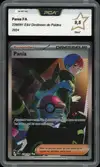 PCA 9.5 Pania - Image 1