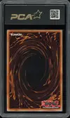 PCA 9.5 Magicien Sombre - Image 2