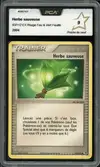 PCA 9 Herbe Sauveuse - Image 1
