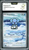 PCA 9.5 Polarhume thumbnail 1