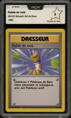 PCA 9 Rafale de vent thumbnail 1