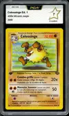PCA 7 Colossinge thumbnail 1