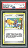 PSA 8 Vent tropical thumbnail 1