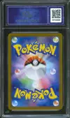 CA 8 N's Zorua thumbnail 2