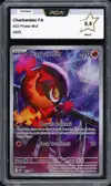 PCA 9.5 Charbambin thumbnail 1