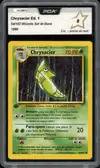 PCA 8 Chrysacier thumbnail 1
