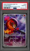 PSA 10 Charbambin thumbnail 1