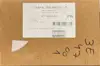 Case Booster Blister EV3 Flammes Obsidiennes thumbnail 1
