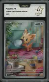 PCA 9.5 Ponchiot thumbnail 1