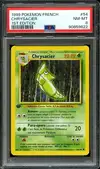 PSA 8 Chrysacier thumbnail 1