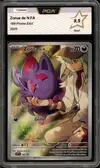 PCA 9.5 Zorua de N thumbnail 1