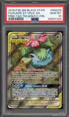 PSA 10 Florizarre et Vipélierre Gx - Image 1