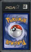 PCA 9.5 Zoroark Ex de N thumbnail 2