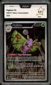 PCA 9.5 Papinox - Image 1