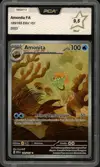 PCA 9.5 Amonita thumbnail 1