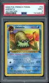 PSA 9 Amonita thumbnail 1
