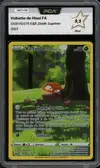 PCA 9.5 Voltorbe de Hisui thumbnail 1