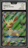 PCA 9 Phyllali Gx thumbnail 1