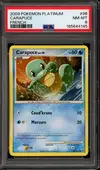 PSA 8 Carapuce - Image 1