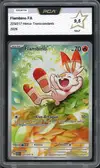 PCA 9.5 Flambino thumbnail 1