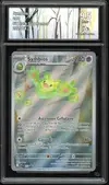 CA 9.5 Symbios thumbnail 1