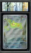 CA 9.5 Symbios thumbnail 1