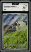 PCA 9.5 Moumouton de Nabil thumbnail 1