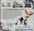 Display SL3 Ombres Ardentes - Image 2
