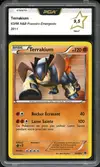 PCA 9.5 Terrakium Holo - Image 1