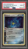 PSA 10 Sharpedo Holo - Image 1