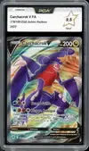 PCA 9.5 Carchacrok V thumbnail 1