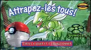 Display Jungle Édition 1 - Image 3
