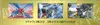 Display SM6a Dragon Storm thumbnail 3