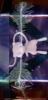 Pokébox Epée & Bouclier Flagadoss V thumbnail 3