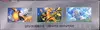 Display SV4a Shiny Treasure Ex thumbnail 4