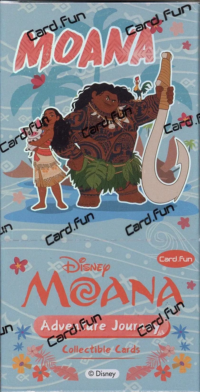 Display Moana Adventure Journey