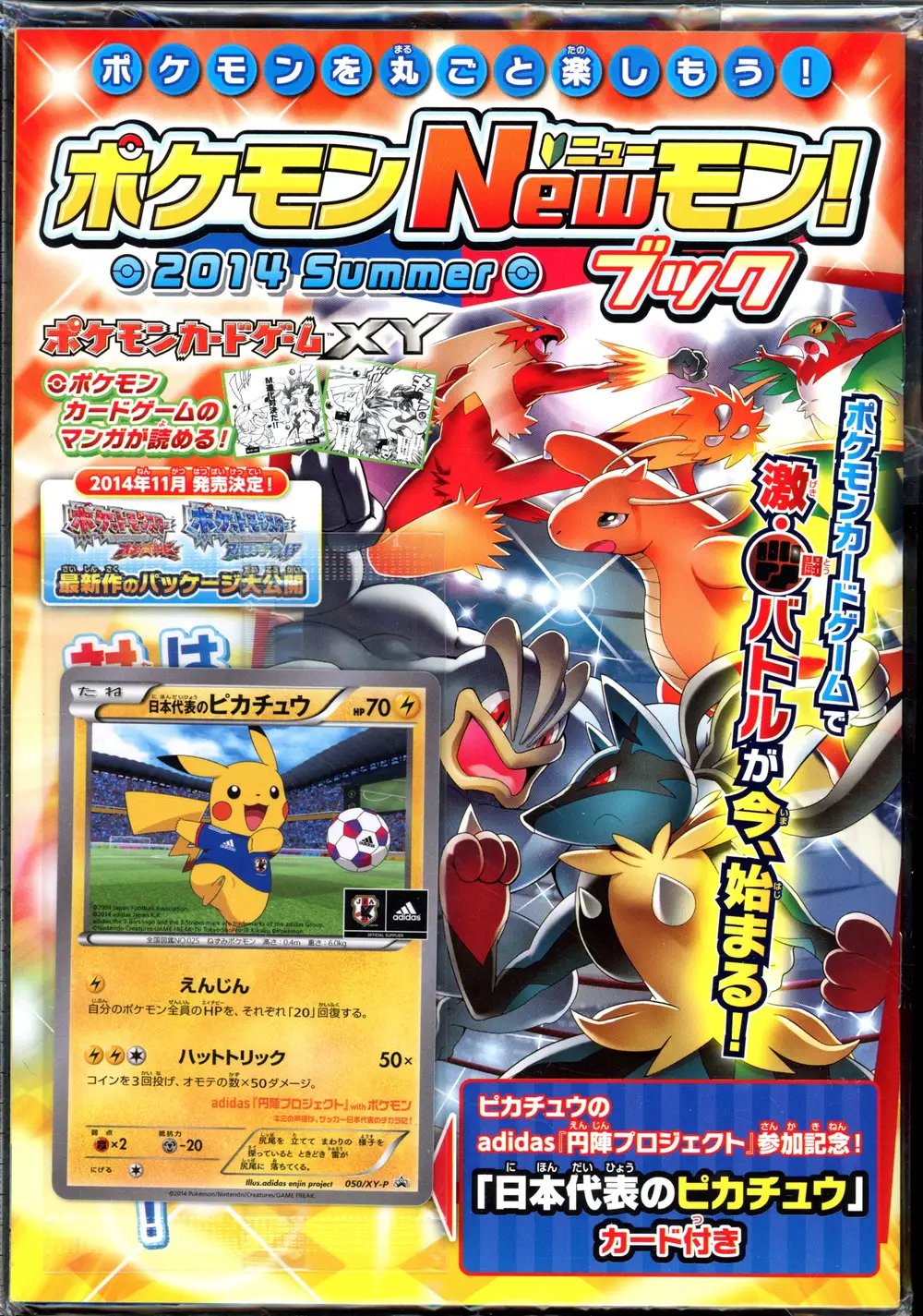 Pokemon New Book 2014 Summer
