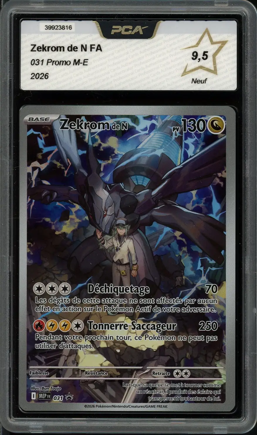 PCA 9.5 Zekrom de N
