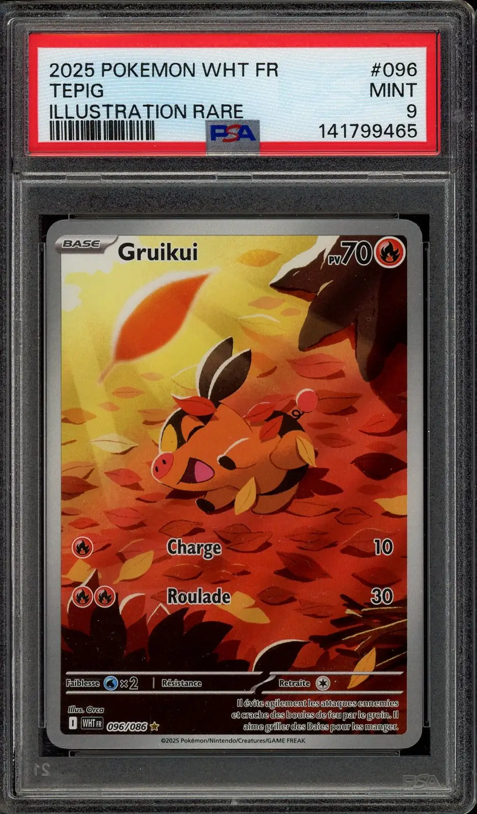 PSA 9 Gruikui