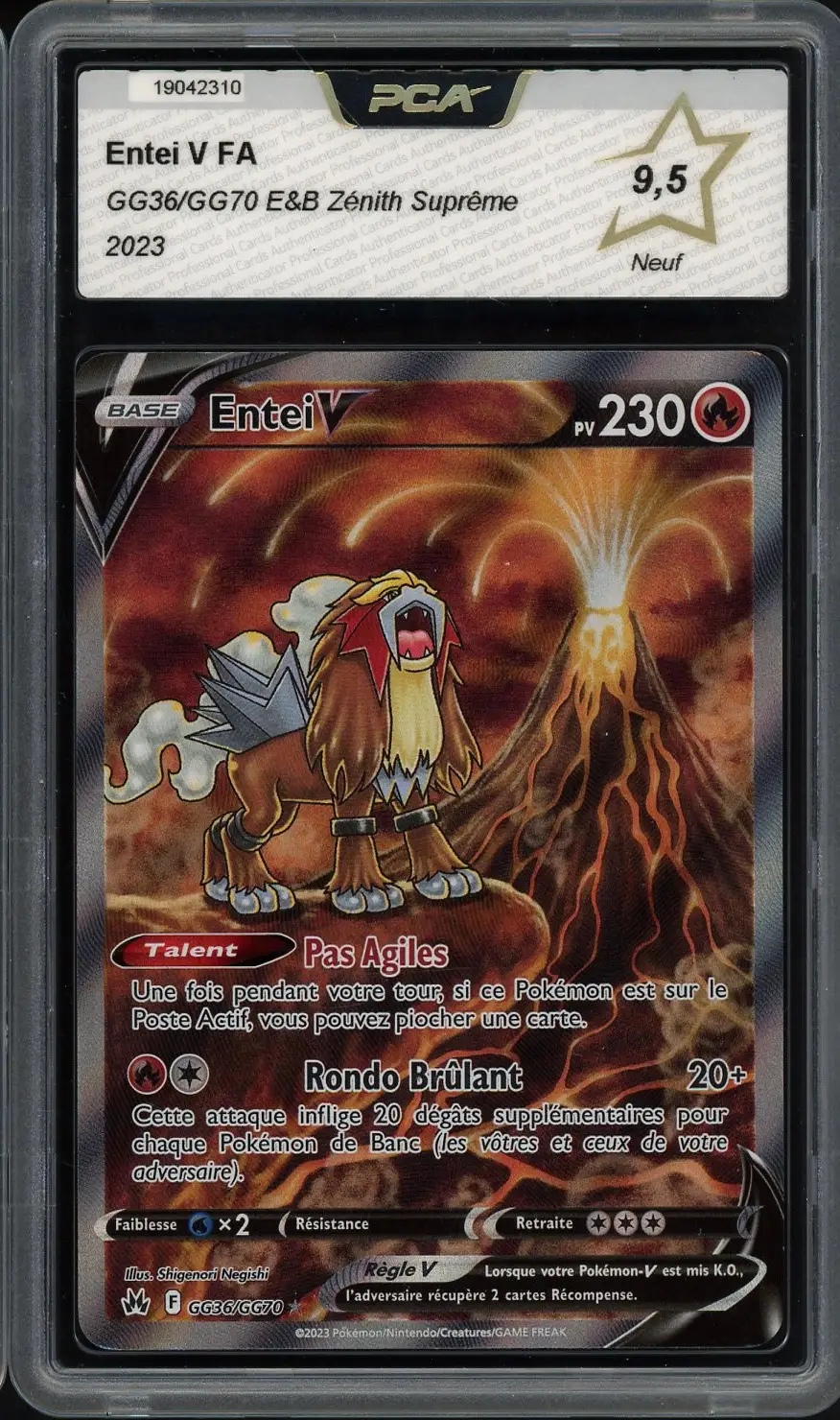 PCA 9.5 Entei V