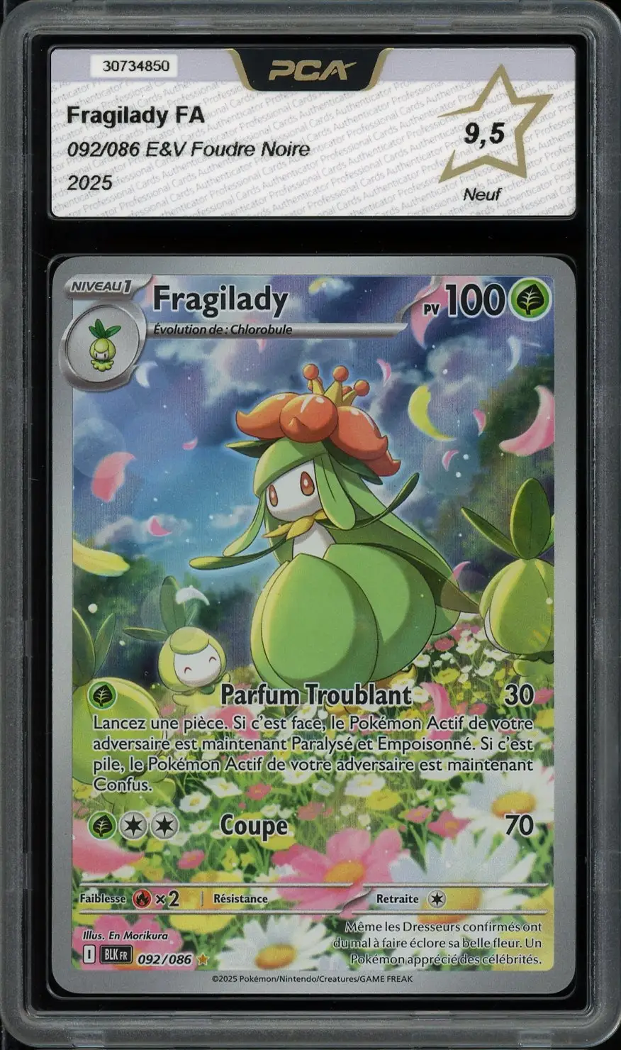 PCA 9.5 Fragilady
