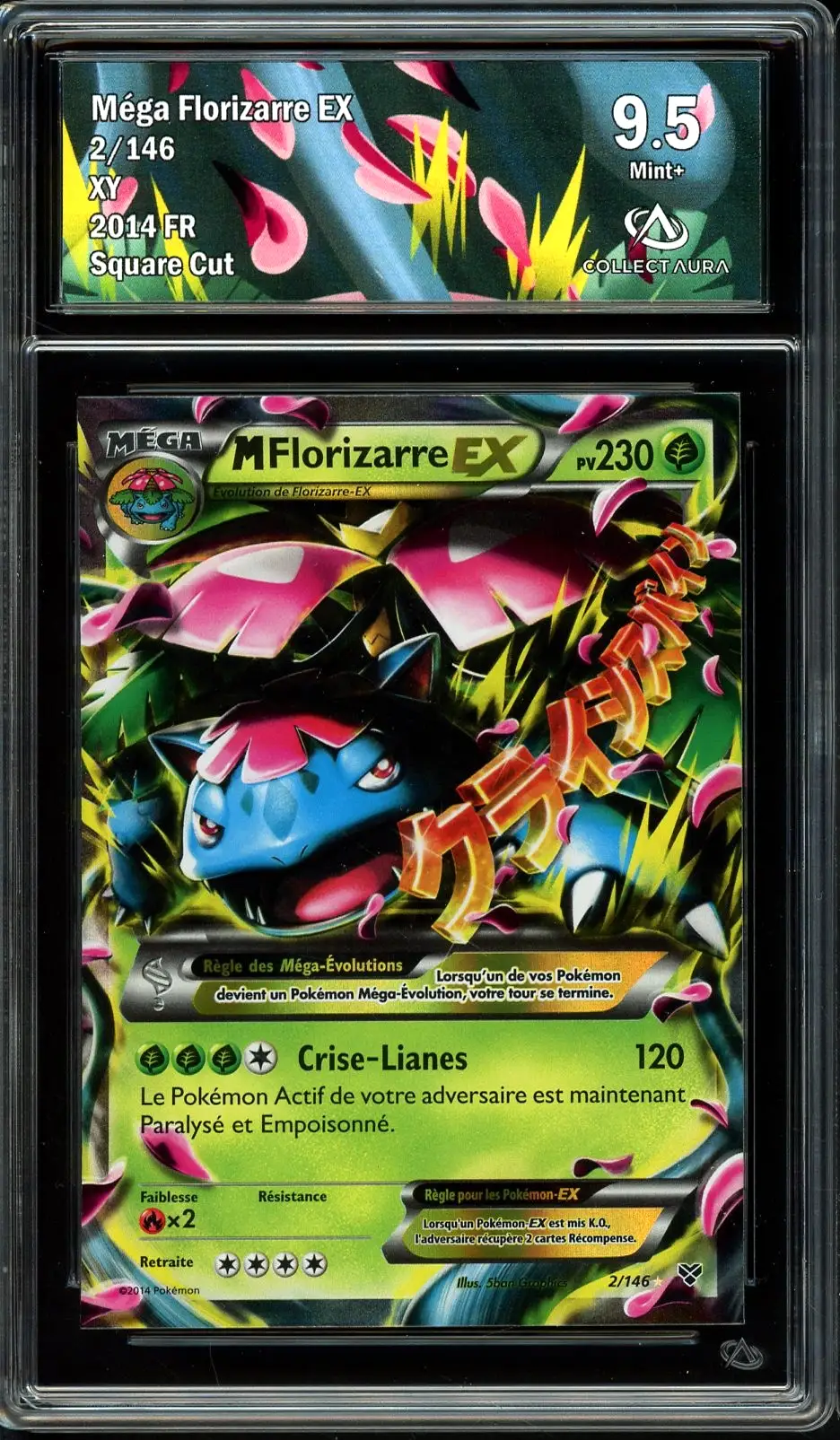 CA 9.5 Méga Florizarre Ex