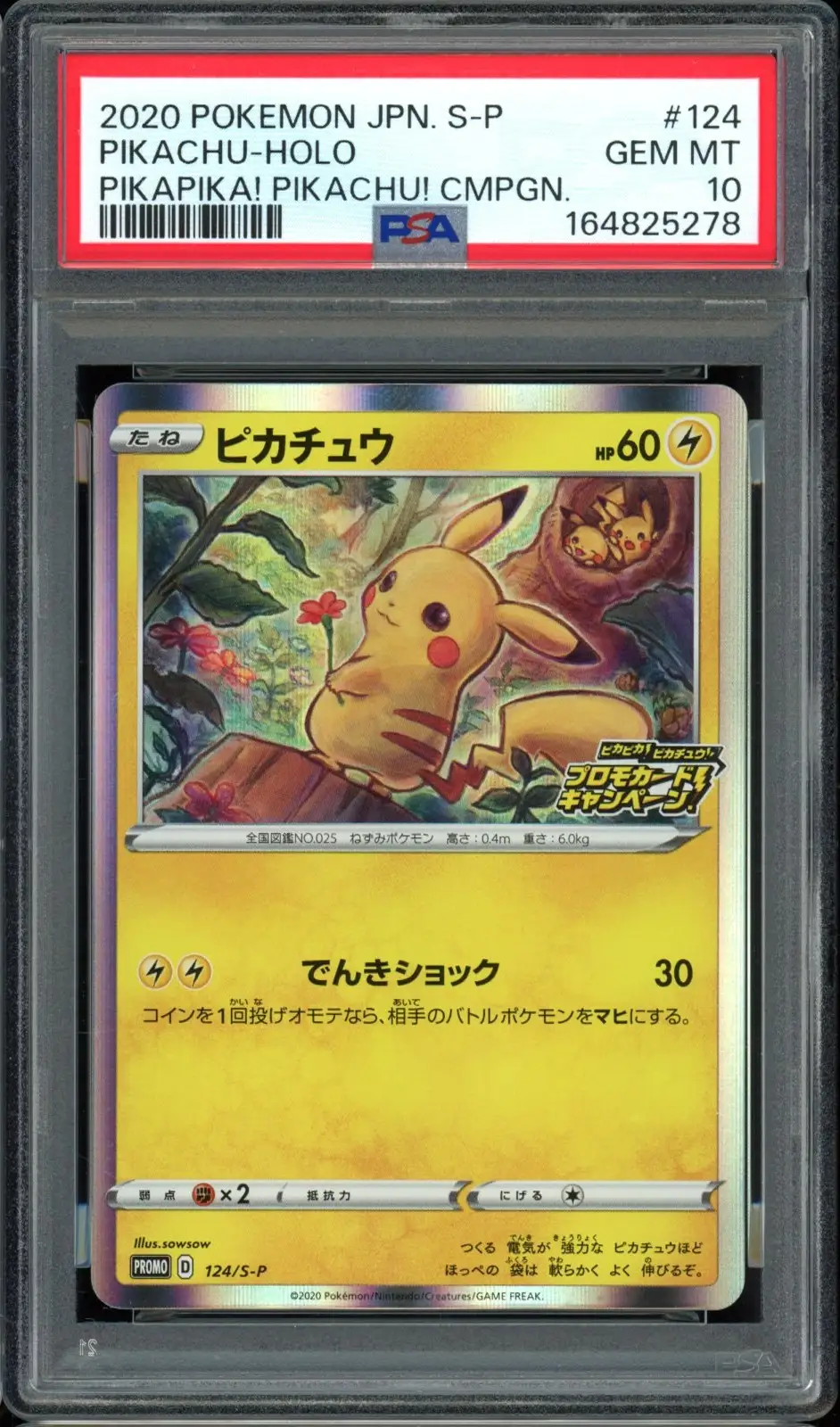 PSA 10 Pikachu Holo