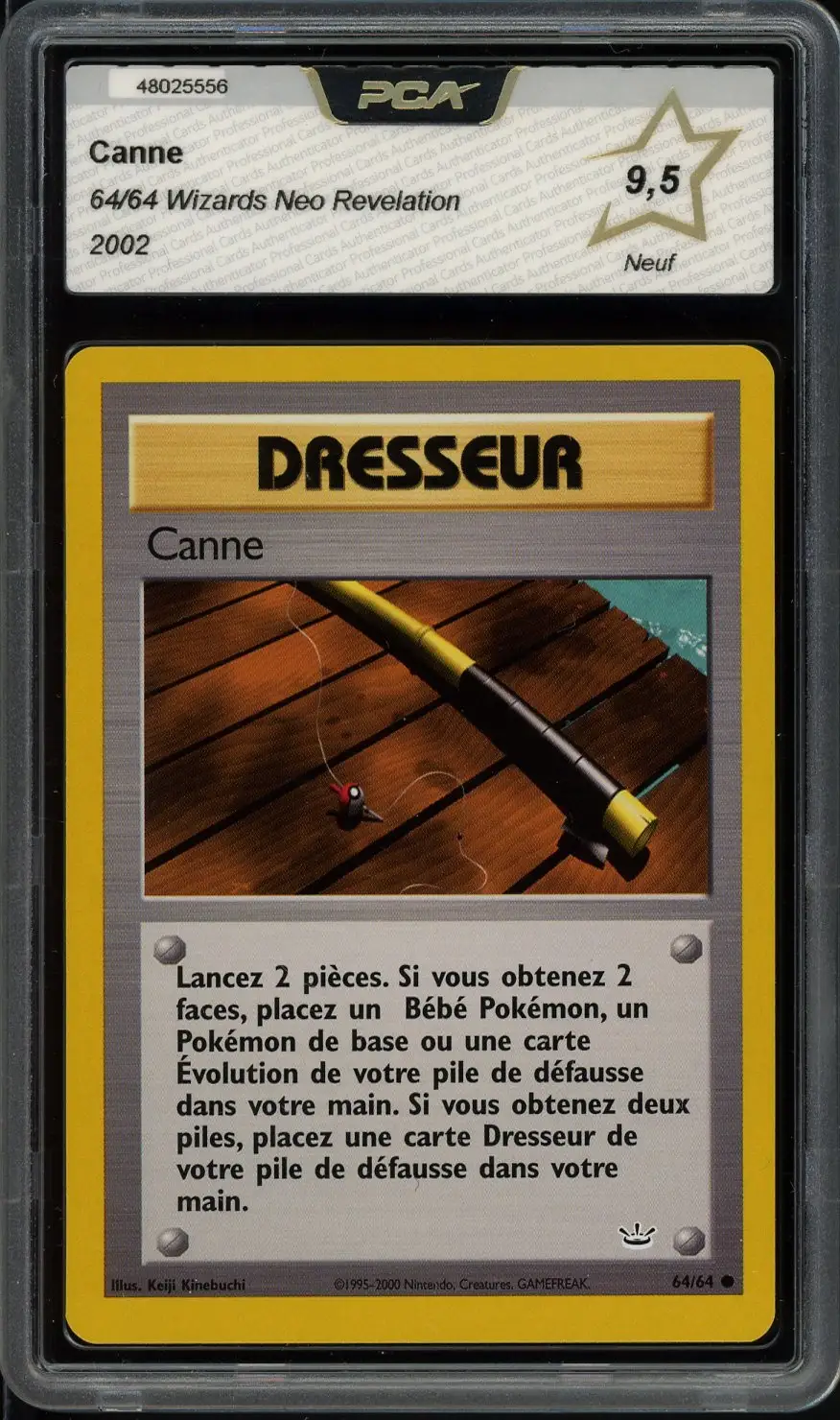 PCA 9.5 Canne