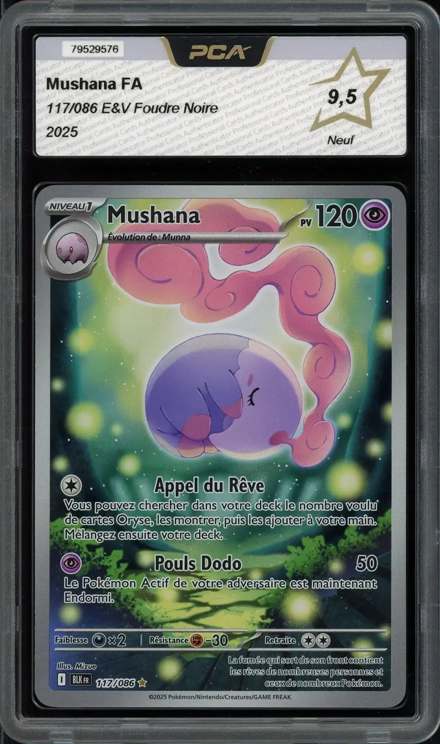 PCA 9.5 Mushana