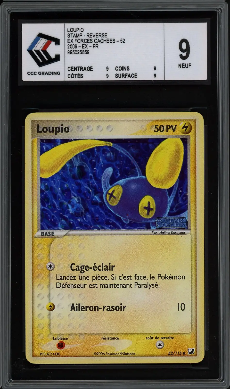 CCC 9 Loupio Reverse