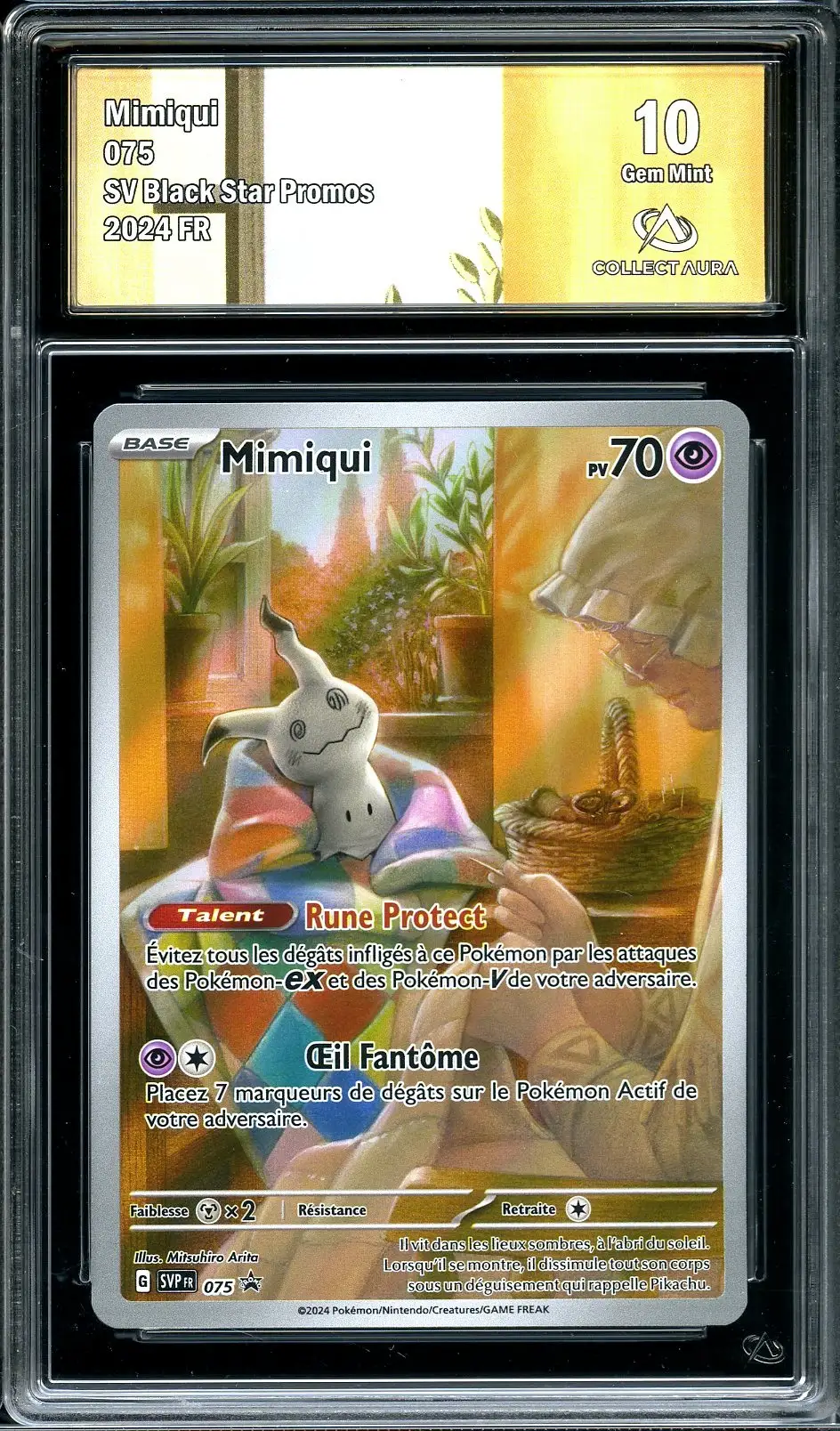 CA 10 Mimiqui