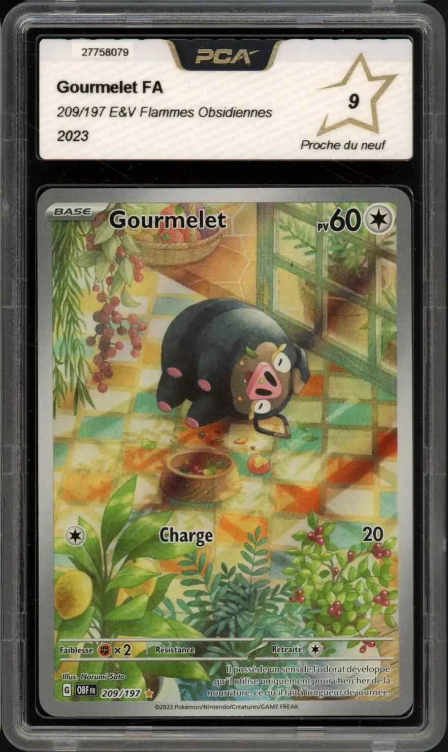 PCA 9 Gourmelet